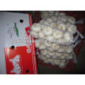 Best garlic price of 2014/Natural jinxiang garlic/Garlic price in China 2014